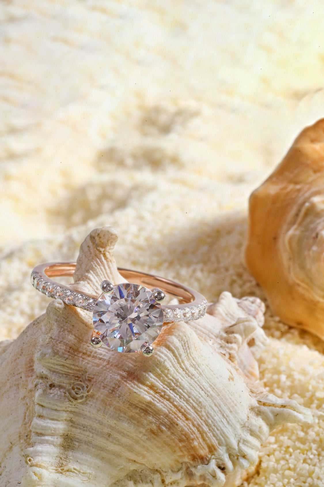 4 Prong Classic Grace Round Brilliant Solitaire Pavé Ring